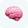 Brain