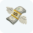 Money with wings